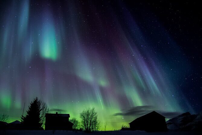 Full Night Magic of the Northern Lights in Tromso - The Practicalities: Transportation, Weather, and Cost