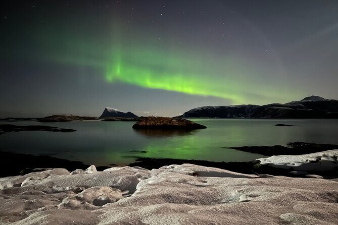 Full Night Magic of the Northern Lights in Tromso - What We’ve Learned From the Reviews