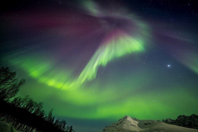 Full Night Magic of the Northern Lights in Tromso - FAQ