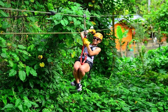 Full Pack Buggies + Horses + Zip Line + Food in Punta Cana - Cultural Experiences Included
