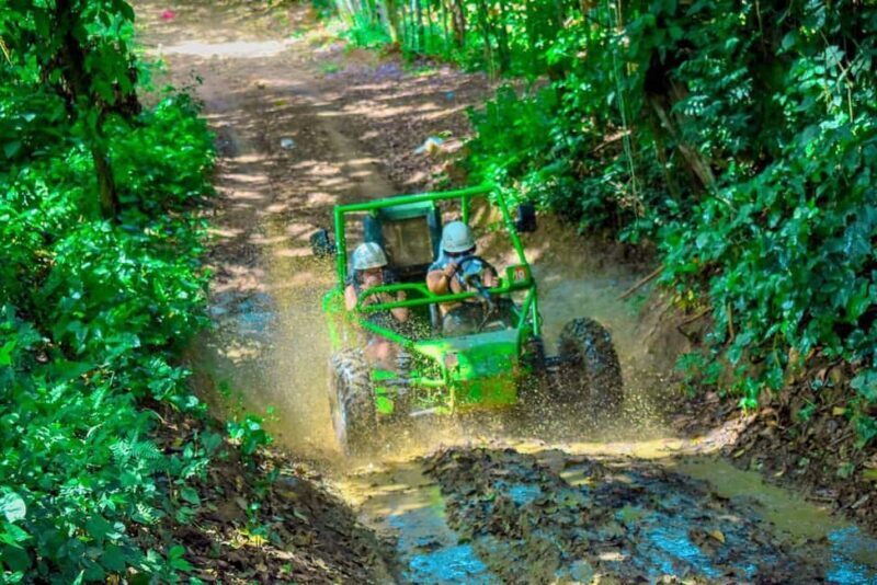 Full Pack Buggies + Horses + Zip Line + Food in Punta Cana - Authentic Experiences and Genuine Feedback