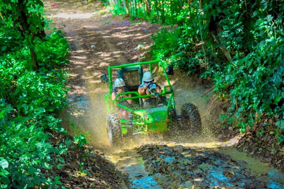 Full Pack Buggies + Horses + Zip Line + Food in Punta Cana - Key Points