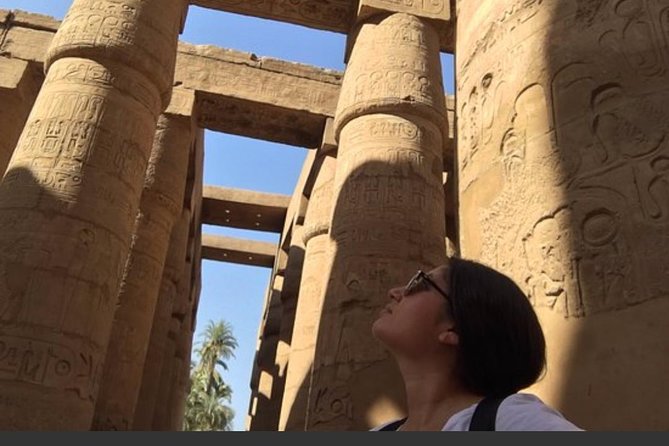 Full Private Day Tour to East and West Banks in Luxor- Private - Customer Reviews