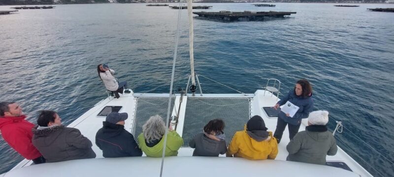 Full Scientific Tourism in the Cíes Islands - Itinerary and Activities