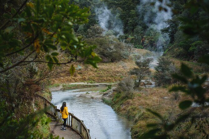 Full Waimangu Experience - Walk & Cruise - An In-Depth Look at the Waimangu Full Experience