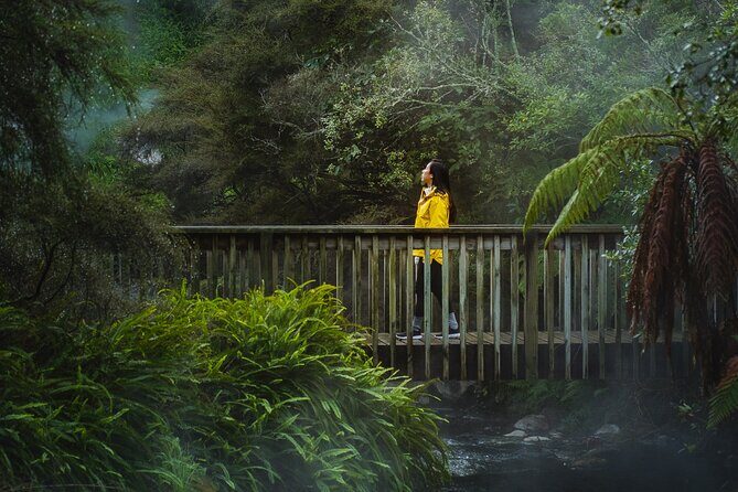 Full Waimangu Experience - Walk & Cruise - The Sum Up: Why Choose the Full Waimangu Experience?