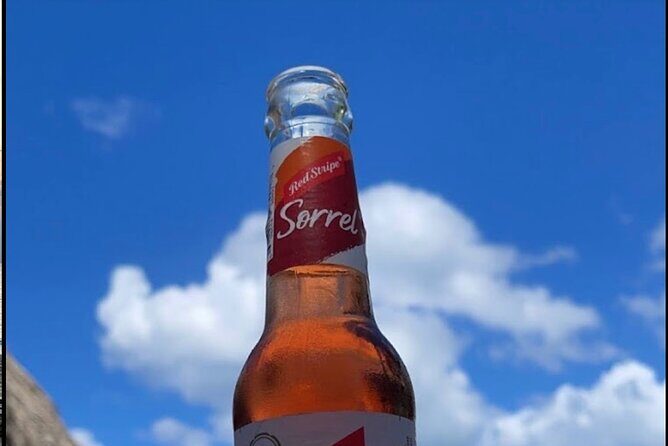 Full-Day at Margaritaville 7Mile Beach & Rick's Cafe in Negril - Practical Details & What to Expect