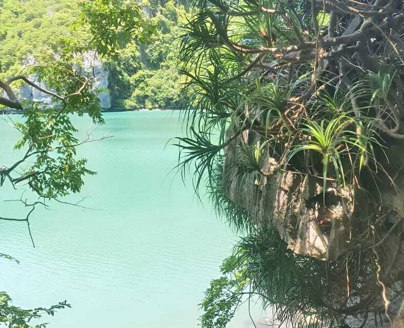 Fullday Sailing Boat Tour to Angthong Marine Park - Tour Features