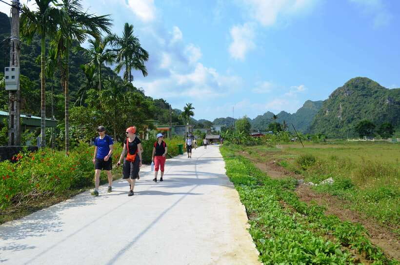 Fullday Trekking in Cat Ba National Park to Viet Hai Village - Getting to Cat Ba National Park