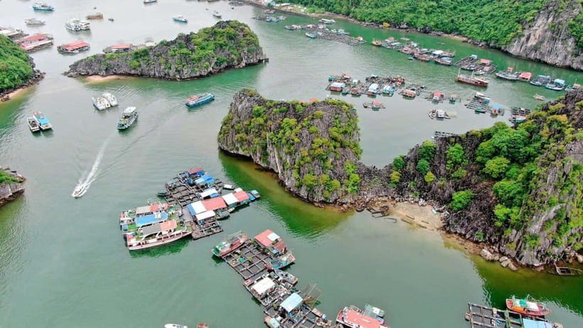 Fullday Trekking in Cat Ba National Park to Viet Hai Village - Experiencing Lan Ha Bay