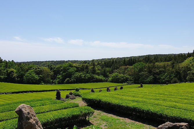 Fully Customizable Private Tour of Jeju Island - Group Size and Duration