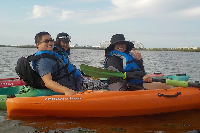 Fully Guided Kayaking Backwater Manatee and Dolphin Tour - Tips for a Great Experience