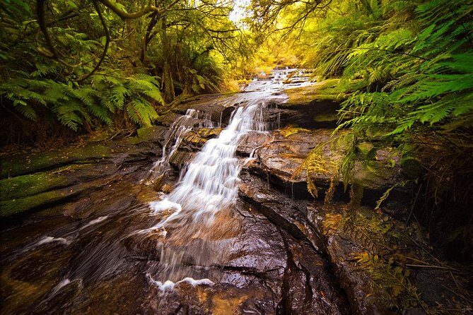 Fully Inclusive Blue Mountains Private Tour inc Scenic World & Featherdale Entry - Frequently Asked Questions