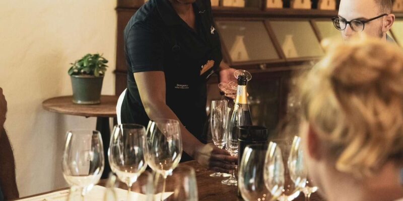 Fully Inclusive Cape Town & Winelands Adventure Tour - Accommodations and Meals