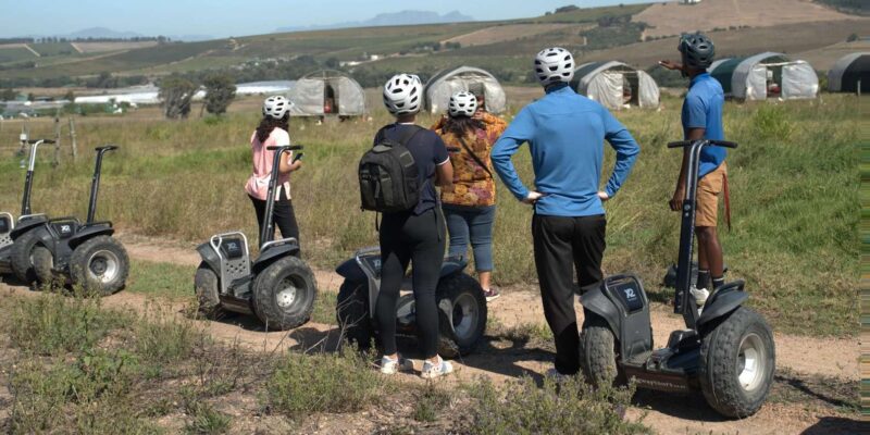 Fully Inclusive Cape Town & Winelands Adventure Tour - Wildlife Encounters