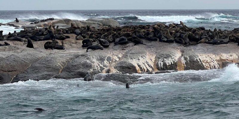 Fully Inclusive Cape Town & Winelands Adventure Tour - Adventure Activities