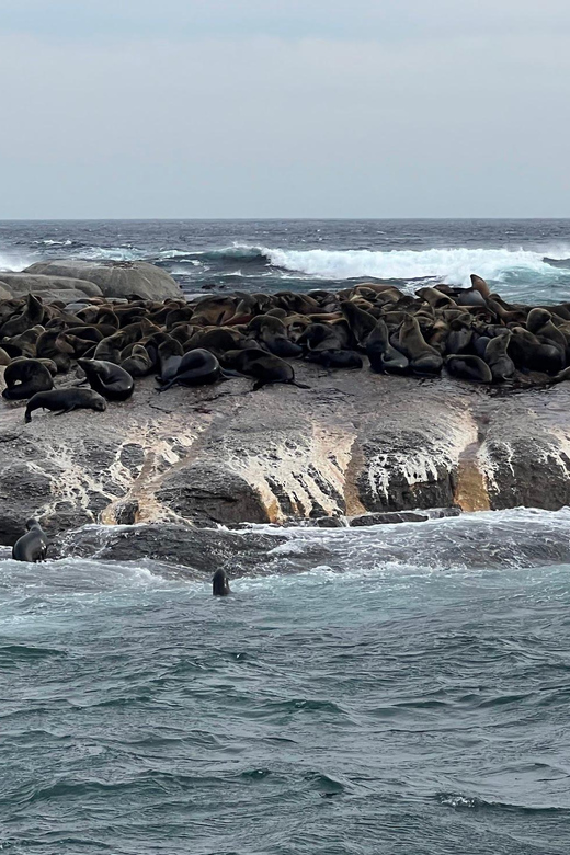 Fully Inclusive Cape Town & Winelands Adventure Tour - Guided Support and Safety