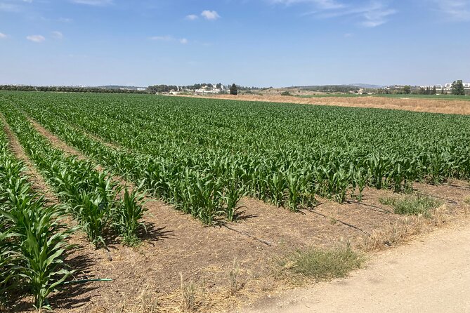 Fully Inclusive The Israeli Kibbutz Experience - Tour Requirements and Guidelines