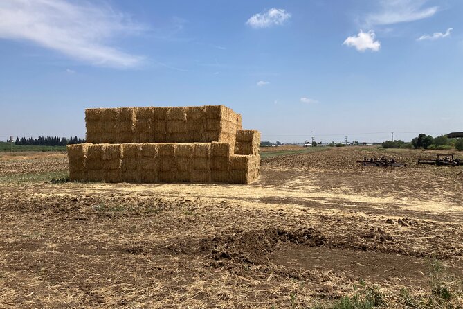 Fully Inclusive The Israeli Kibbutz Experience - Booking and Pricing Information