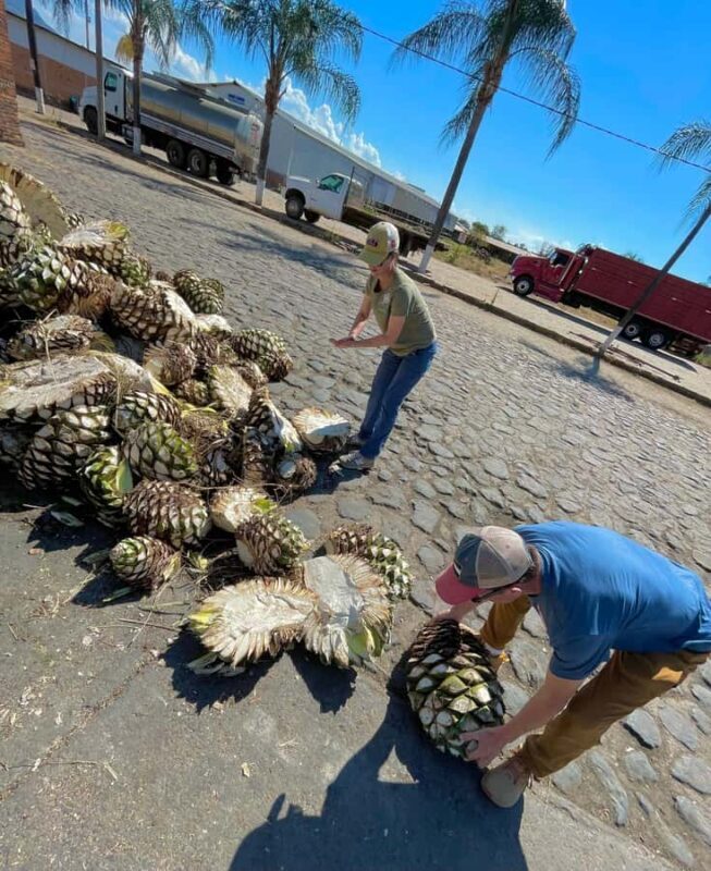 Fully-Private Half-Day Tequila Tour - FAQs
