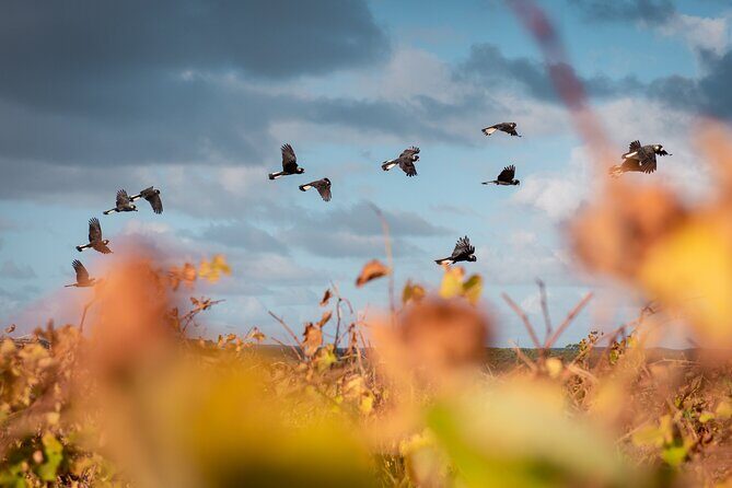 Fully Tailored Private Bespoke Tour of Margaret River - Pricing and Value