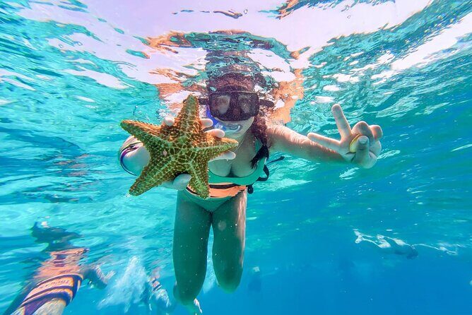 Fun Catamaran Excursion to Isla Mujeres with Unlimited drinks! - Who Would Enjoy This Tour?