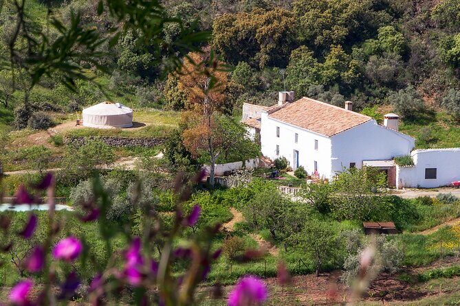 Fun Cooking Class - Tasty Andalusian Tapas - Authentic Andalusian Tapas: A Hands-On Cooking Experience