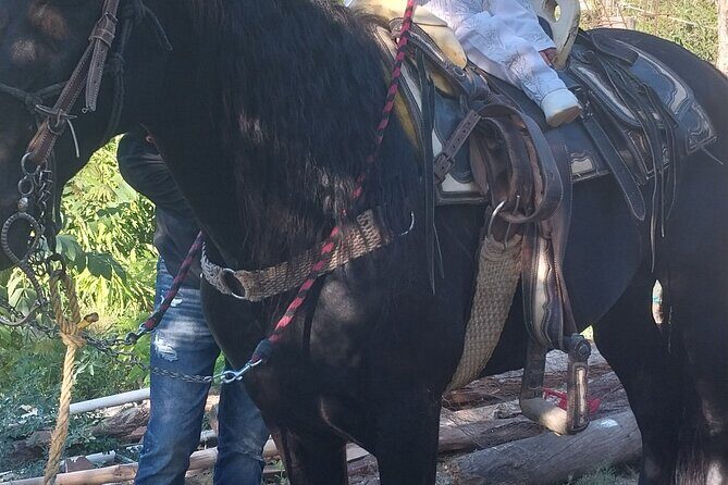 Fun Horseback Tour in Mismaloya - Final Thoughts