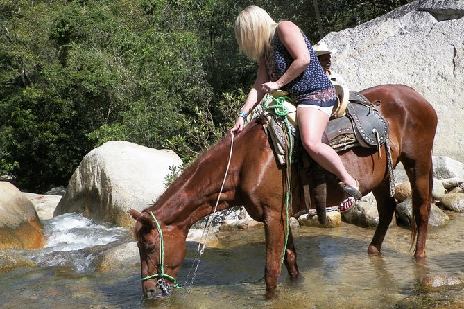 Fun Horseback Tour in Mismaloya - Inclusions and Exclusions