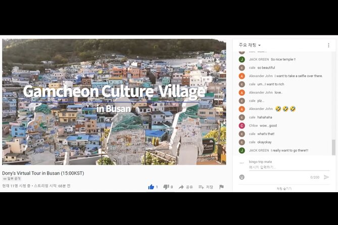 Fun & Informative Busan in Korea Virtual Tour - Meeting and Participation Details