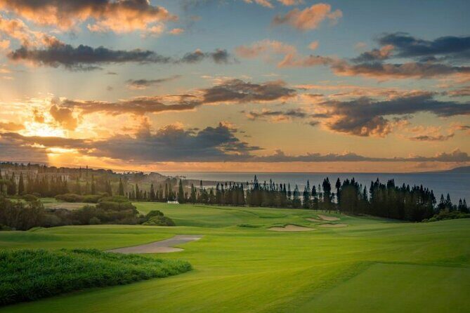 Fun! Open-Air Banyan Tree Forest & Blowhole Sight-Seeing MauiTour - Authentic Guest Experiences