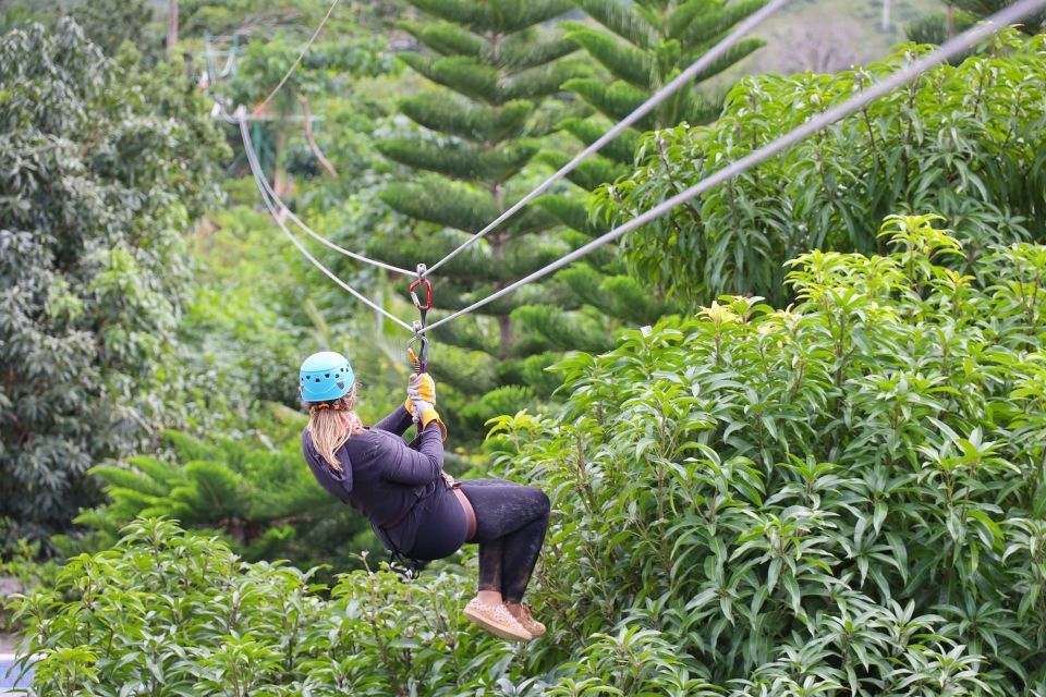 FUN PARK - Ziplines: Soaring Adventures