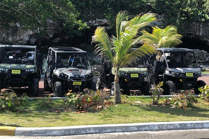 Fun Side x Side Buggy Rentals - Key Points