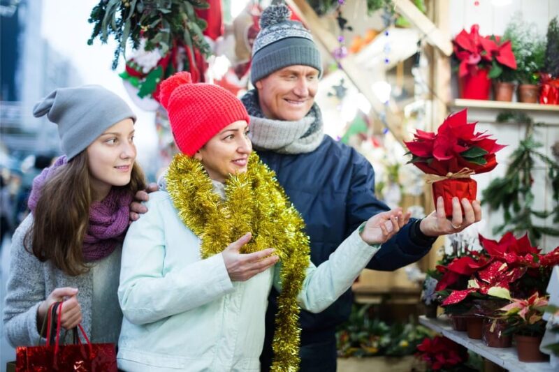 Fun Walking Tour During Christmas in Kilkenny - Tour Overview