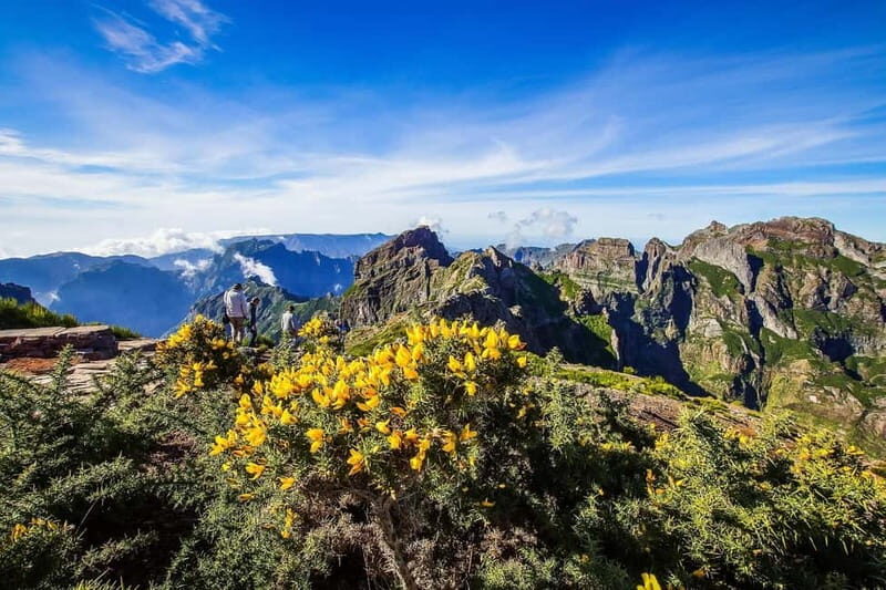 Funchal: 4x4 Jeep Trip to the East and Northeast of Madeira - Making the Most of Madeira: A Deep Dive into the 4x4 Jeep Tour to the East and Northeast