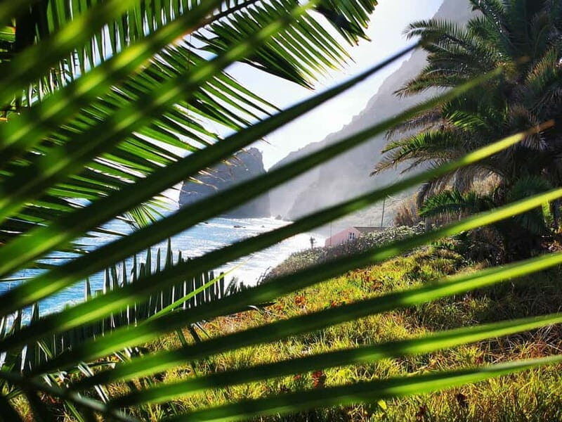 Funchal: 4x4 Jeep Trip to the East and Northeast of Madeira - Final Thoughts: Who Should Consider This Tour?