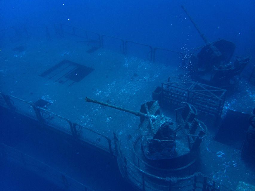 Funchal: Advanced Scuba Diving Afonso Cerqueira Wreck - Observing Marine Life