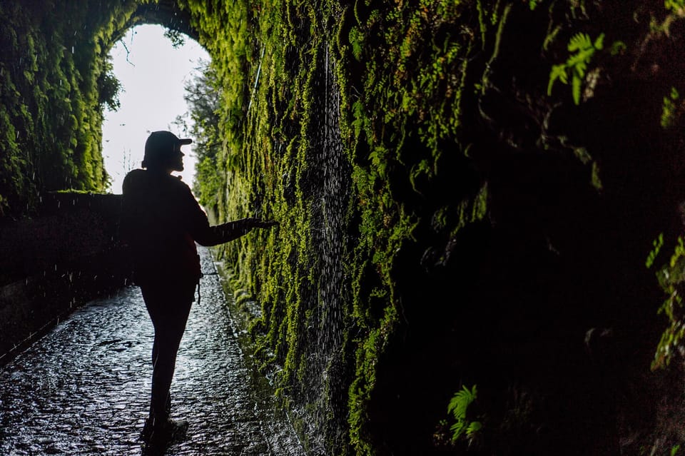 Funchal and Caniço: Rabaçal Hiking Trip With Transfer - Key Points