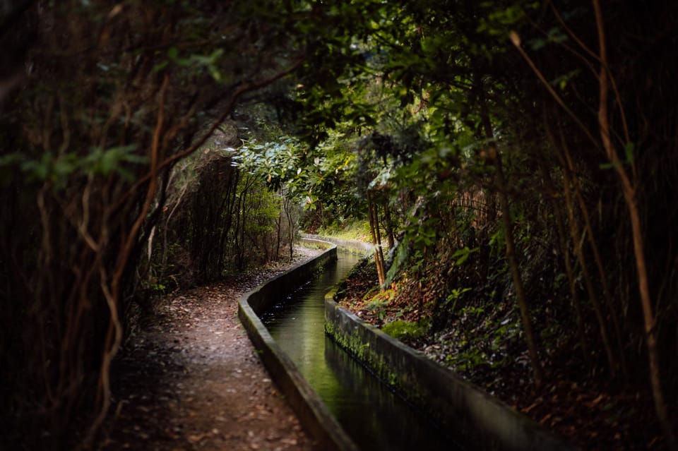 Funchal and Caniço: Rabaçal Hiking Trip With Transfer - Customer Reviews