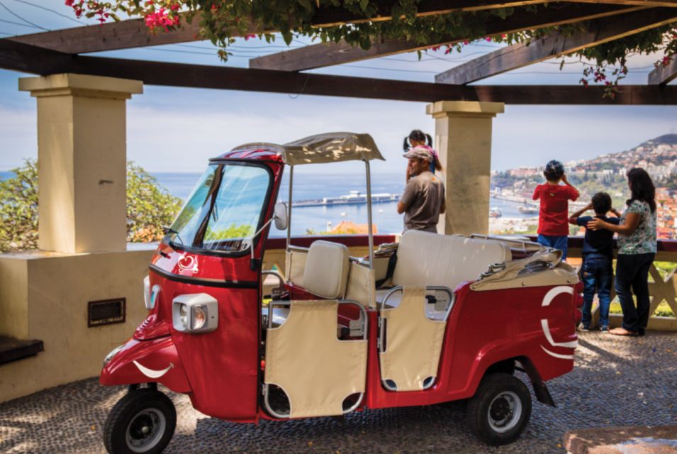 Funchal at Night Private Tour by Tuk Tuk - Neighborhoods Explored