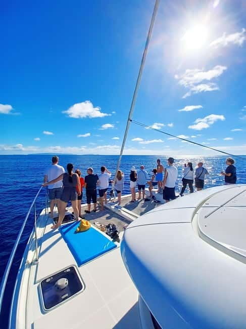 Funchal: Atlantic Festival 2025 - Fireworks - The Sum Up: Who Should Consider This Experience?