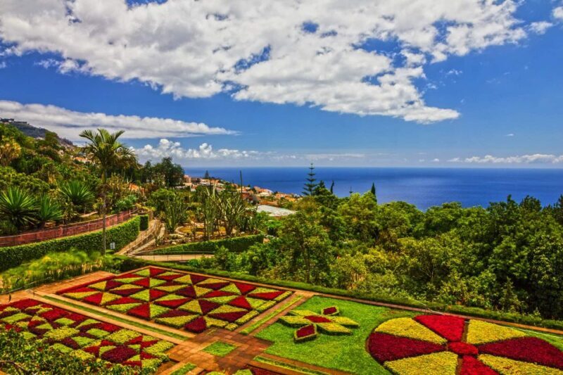Funchal: Botanical Garden and Old Town Private Tuk-Tuk Tour - Key Points