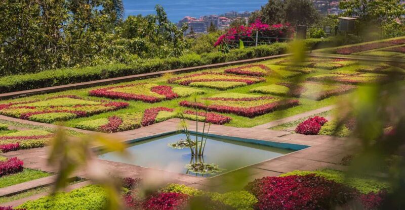 Funchal: Botanical Garden and Old Town Private Tuk-Tuk Tour - The Details: What You Can Expect