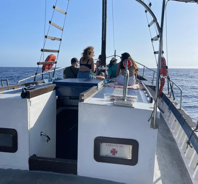 Funchal: Cabo Girão Trip Aboard A Traditional Madeiran Boat - Wildlife Spotting Opportunities