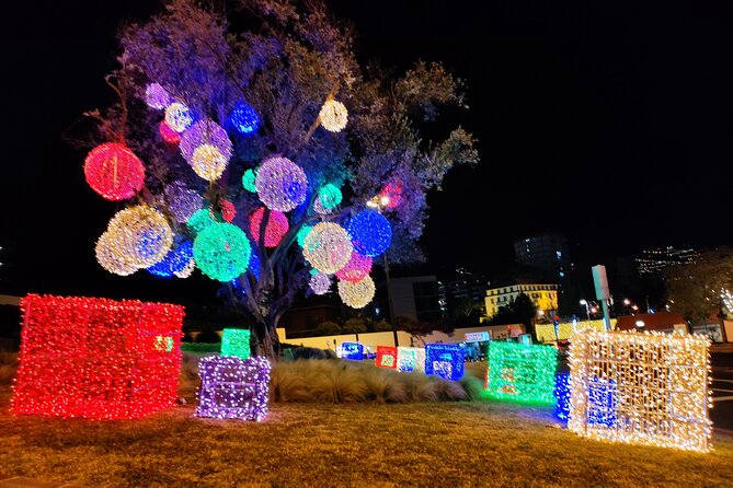 Funchal Christmas Lights Sightseeing Night Tour - Tour Inclusions and Exclusions