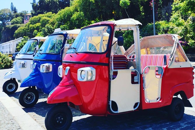 Funchal City Tour - Experience Highlights