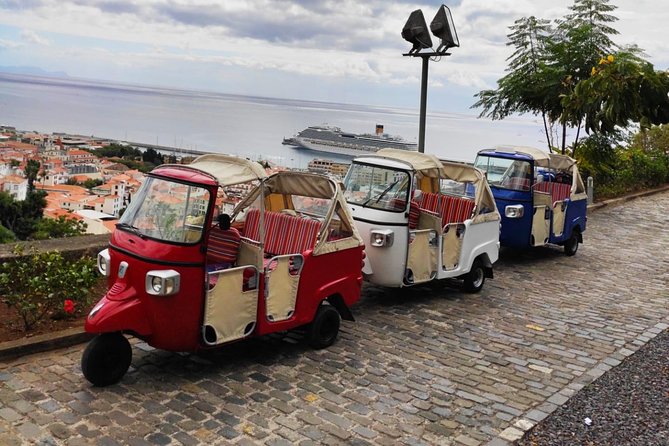 Funchal City Tour - Guided Tour Insights