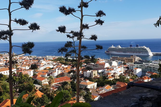 Funchal City Tour - Tips for a Great Tour