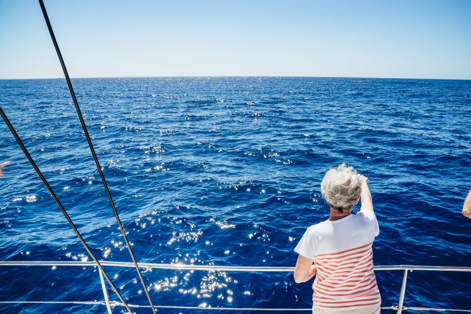 Funchal: Dolphin and Whale Watching by Luxury Catamaran - Itinerary and Starting Locations