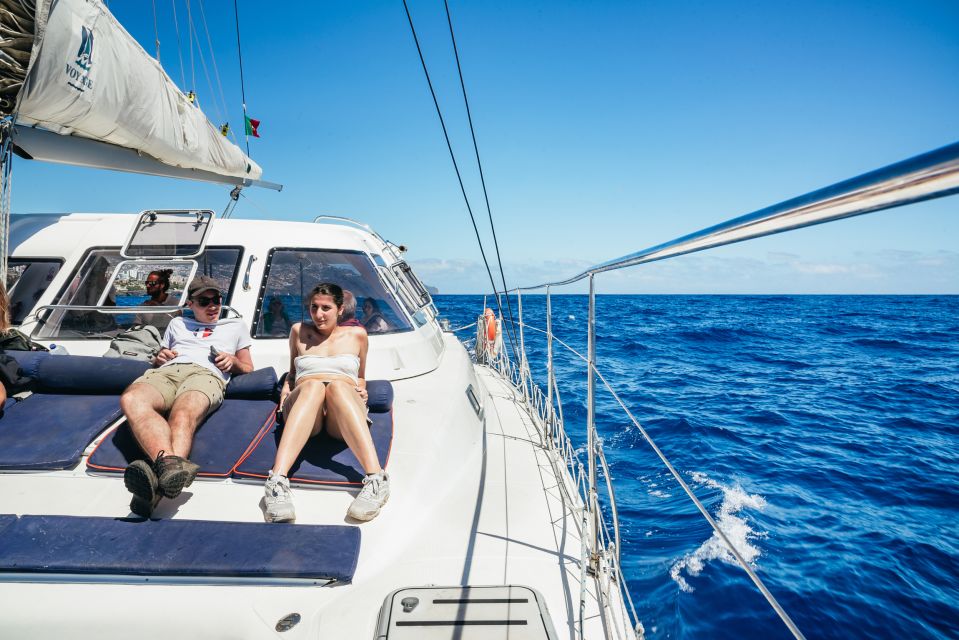 Funchal: Dolphin and Whale Watching by Luxury Catamaran - Restrictions and Safety Considerations